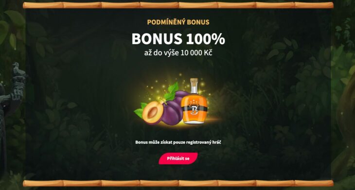Bonus 100 % až 10 000 Kč