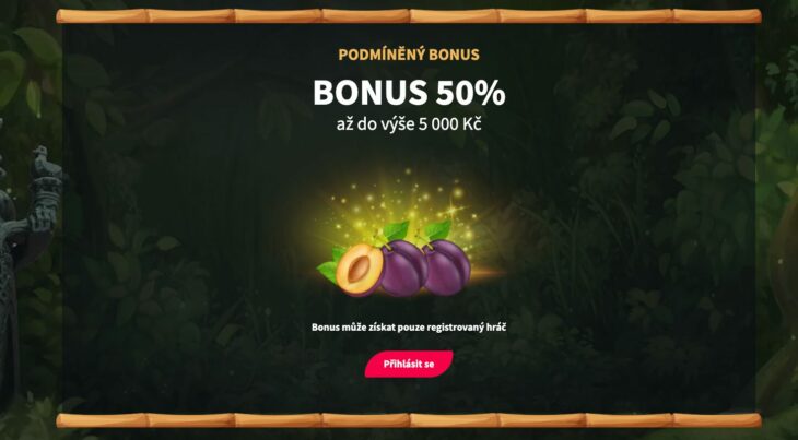 Bonus 50 % až 5 000 Kč