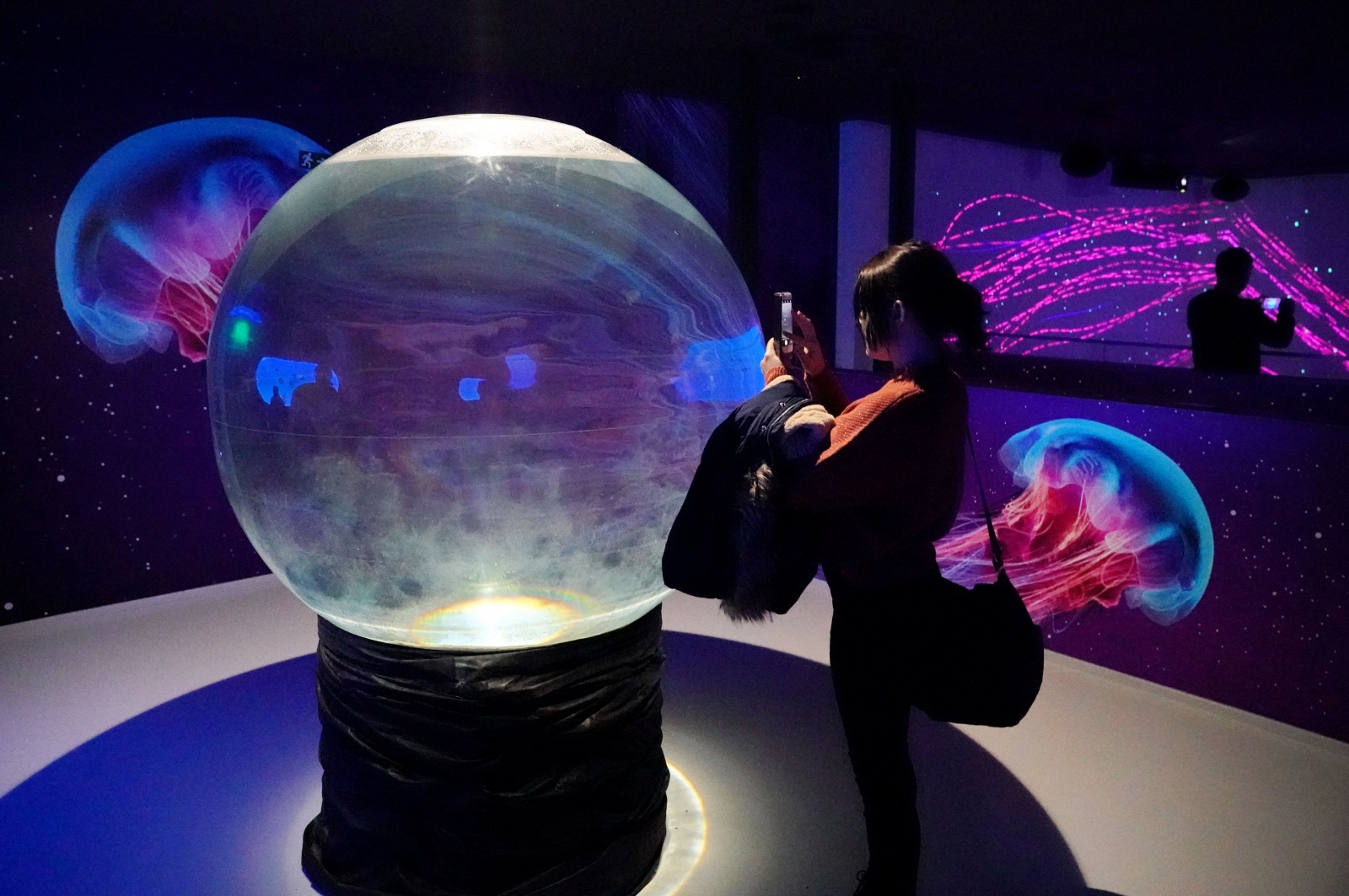 Atrakce světa medúz