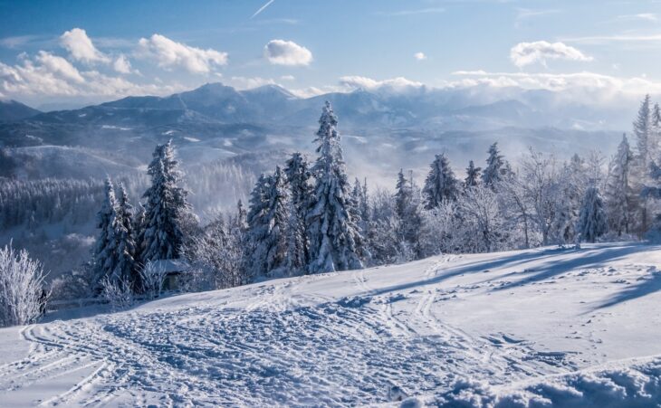 Zimní zázračné země: Lyžování, snowboarding a mnoho dalšího